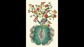 Embracing the Birth of a New Reality * Spring Equinox & Aries Season        Energy Report 20 03 20