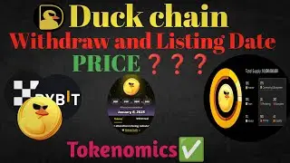 Duck Chain withdraw and listing confirm allocation reveal #duckchain #telegram #crypto