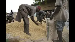 Impacts of the Ukraine and Global Crises on Poverty and Food Security to Ghana