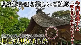 ⚠️人々を救うため日本の神々が突如現れた精霊の姿とは！【茨城県大洗町 大洗磯前神社】