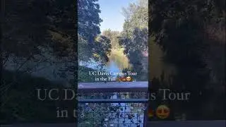 UC Davis Campus Tour - Full Video Up on my Channel 🍁 #ucdavis #premed #premedical #collegetour