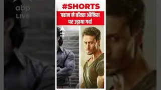 Pathan Movie Box Office Collection : दो दिन में कलेक्शन हुआ 100 करोड़ के पार | #Shorts | SRK