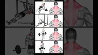 Exercises for Stronger Traps💪✅ #exercise #stronger #gymworkout #bodybuilding #workout