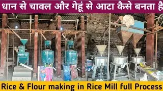 Rice Mill Machine Working Explained | Rice Mill में धान (Paddy) से चावल और गेहूं से आटा कैसे बनता है