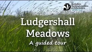 Ludgershall nature reserve thank you tour