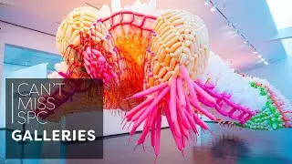 Best Art Galleries in St. Pete/Clearwater!
