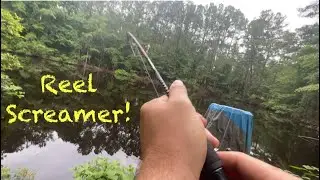 First Cat EVER out of the trophy pond!
