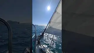 Barca a vela! 20 kn di tramontana, raffiche a 27, due mani terzaroli! Adrenalina infinita!!