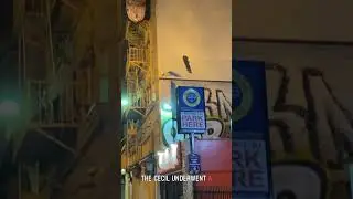 Отель &laquo;Сесил&raquo;: новое предназначение