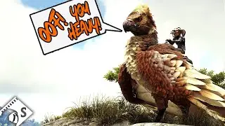 Ark  - Building Upgrades