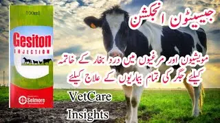 gesiton inj, #selmore , مویشیوں اور مرغیوں میں بخار، درد ، اور جگر کی تمام بیماریوں کے علاج کیلئے