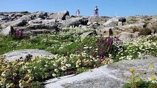 Sailing to M&aring;sesk&auml;r passing K&auml;ring&ouml;n #44