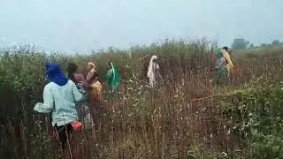 RV (SNEHA) IVANE TALKESRI 05/10/2020