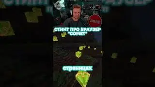СТИНТ ПРО БРАУЗЕР 