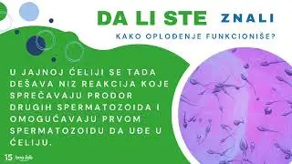 DA LI STE ZNALI kako oplođenje funkcioniše?