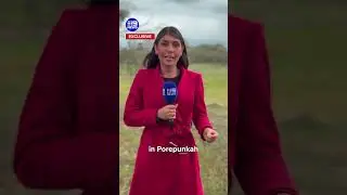 Fresh details on the renewed search for accused killer Dezi Freeman | 9 News Australia