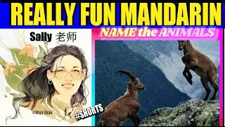#Shorts｜Names Of Animals In Chinese｜One Day One Animal｜ MOUNTAIN GOAT｜Learn Chinese With Sally Gouw
