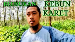 Masuk Ke Hutan Karet PTPN VII Lampung Utara Waykanan