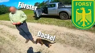 🚨 Vom F&ouml;rster erwischt! 🚨 WAS NUN??? 🚨 Rechtliche Recherche 🚨 Waldgesetz 🚨 Ordnungswidrigkeiten? 🚨