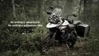Triumph Tiger 800 - Triple Engine
