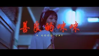 人人合輯“乾坤大挪移