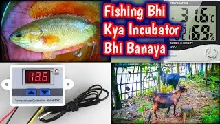 Aaj Incubator Banaya 😲 Aur Fishing Bhi Kya || Hindi Pets Vlog.