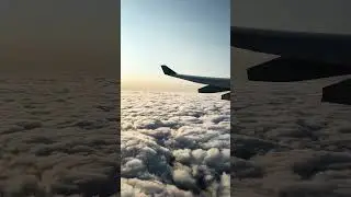 Flying above the clouds A330 #aviation #aircraftlovers #flightattendant #trending