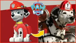 Paw Patrol Characters In Real Life!