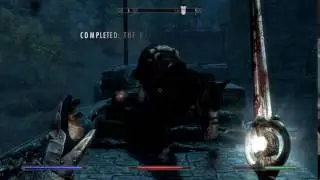 Skyrim_20170317224458