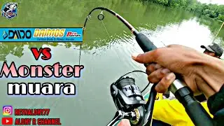 DAIDO DAIMOS PRO SERIES VS MONSTER MUARA