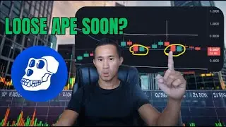 Navigating Market Volatility: Strategies for New Crypto Investors & ApeCoin APE Price Predictions