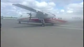 Watching their mom flying off