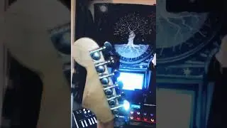 stratocaster fire brush  Hand crafted by Steve WEA M&uuml;nchen .