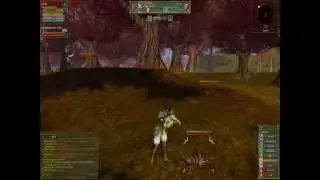 Healing in Ryzom *newB*