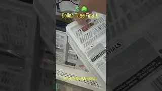 💲🌳Dollar Tree Find!! Storage Essentials Collapsible Shopping Basket!#dollartree #kitchen#wow