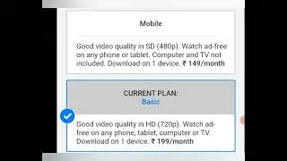 which Netflix subscription plan people should buy between 149 or 199 ?