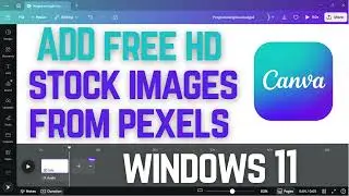 How to Add Free Pexels Stock Images in Canva | use Pexels Stock Photos in Canva (2025 Tutorial)