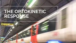 The Optokinetic Response