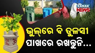 Special Report: Don&rsquo;t Make These Mistakes with Tulsi Plant | Vastu Tips for Peace & Prosperity