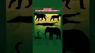 India&rsquo;s Most Dangerous Animals 🤯🌎 #dangerousanimals #india #animalfacts #animals #shorts