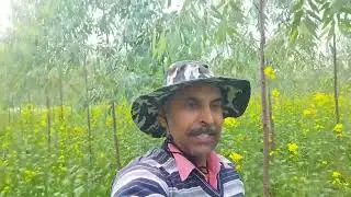 Ashoka the Great...Zero Crime Rate in the State 