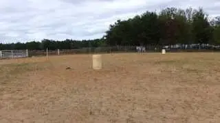 George Riding Ricky #2