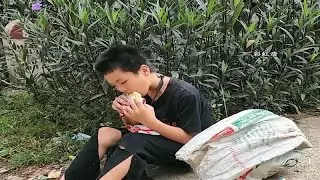 从未见过如此可怜的小男孩，彩虹唐8.5