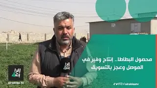 محصول البطاطا.. إنتاج وفير في الموصل وعجز بالتسويق