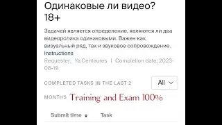 Одинаковые ли видео? 18+ || Training and exam || Toloka Tips || Toloka yandex
