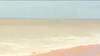 Acid destroys Kerala beach