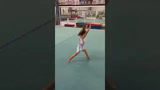 Milana's Gymnastics Performance
