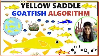 Yellow Saddle Goatfish Algorithm || Step-By-Step || ~xRay Pixy