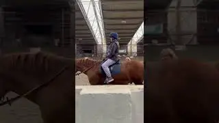 Horse Riding For Disabled People #animals