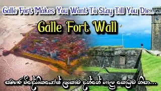 The Beautiful City Of Galle ❤️ | Box Wall 🏝️